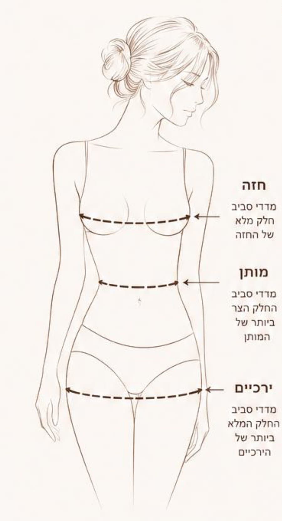 איור מדידה - חזה, מותן וירכיים